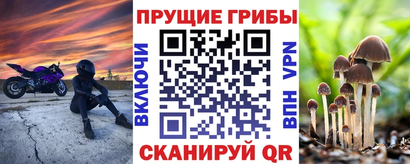 darknet какой сайт  ОМГ ОМГ сайт  Галлюциногенные грибы MAGIC MUSHROOMS  Феодосия  сколько стоит 